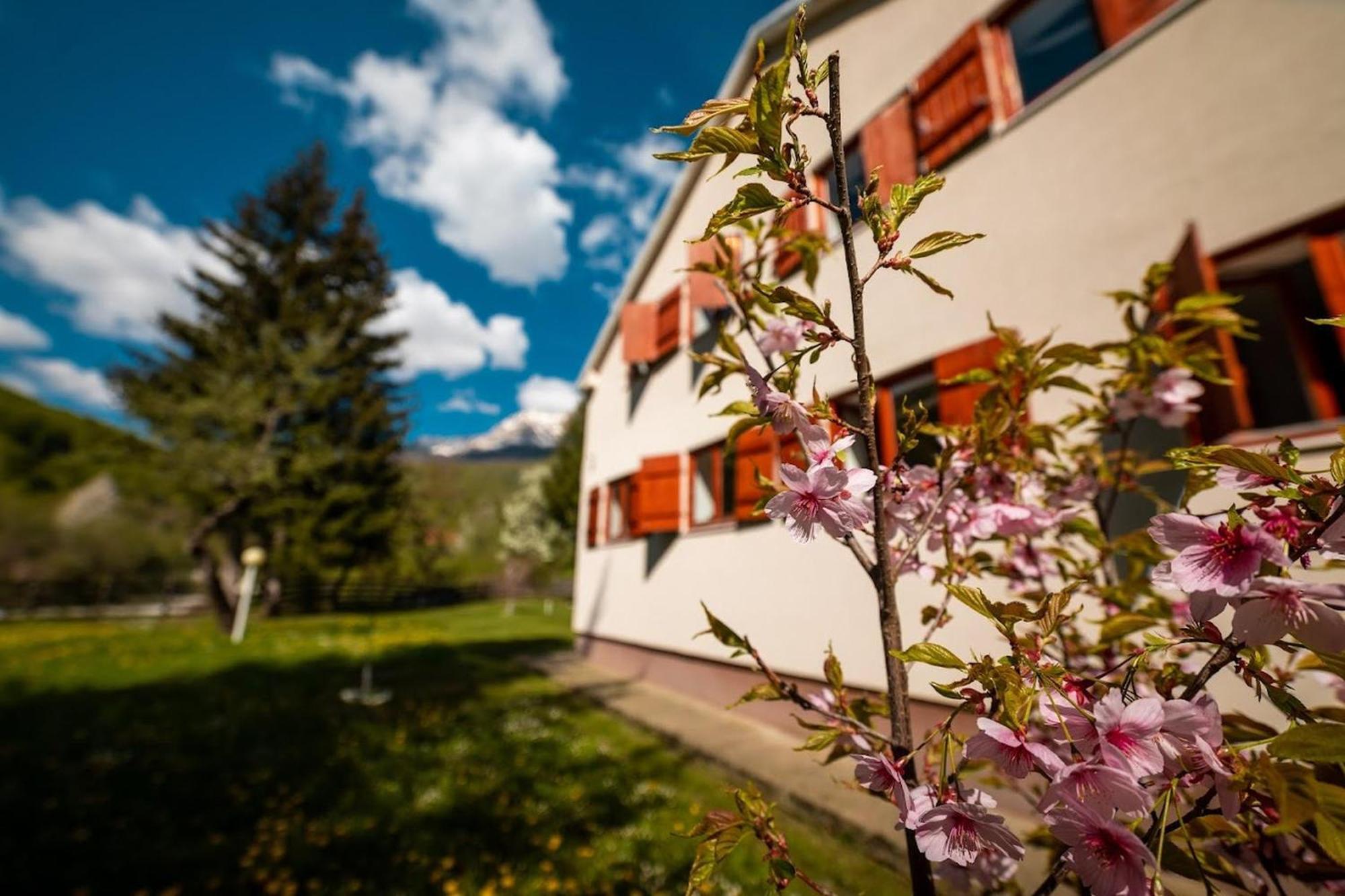 Hostel Mojan แอนดริเจวิกา ภายนอก รูปภาพ